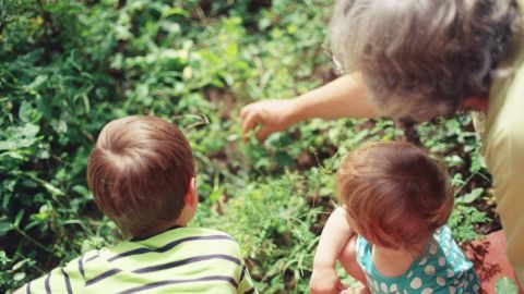 Two young children looking at what an older person is pointing at in the vegetation.